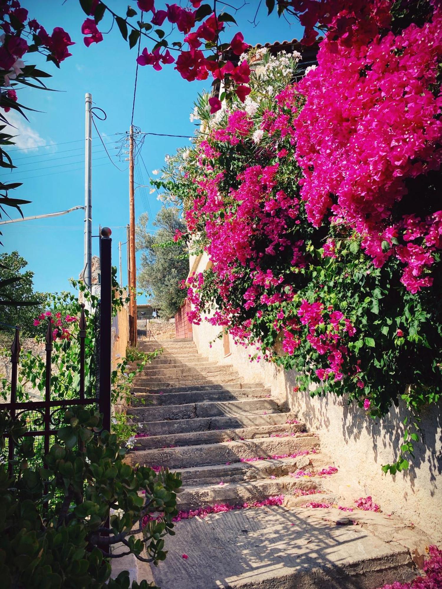 Aegina Appartement Vue Sur Mer Soul Family, Egine מראה חיצוני תמונה